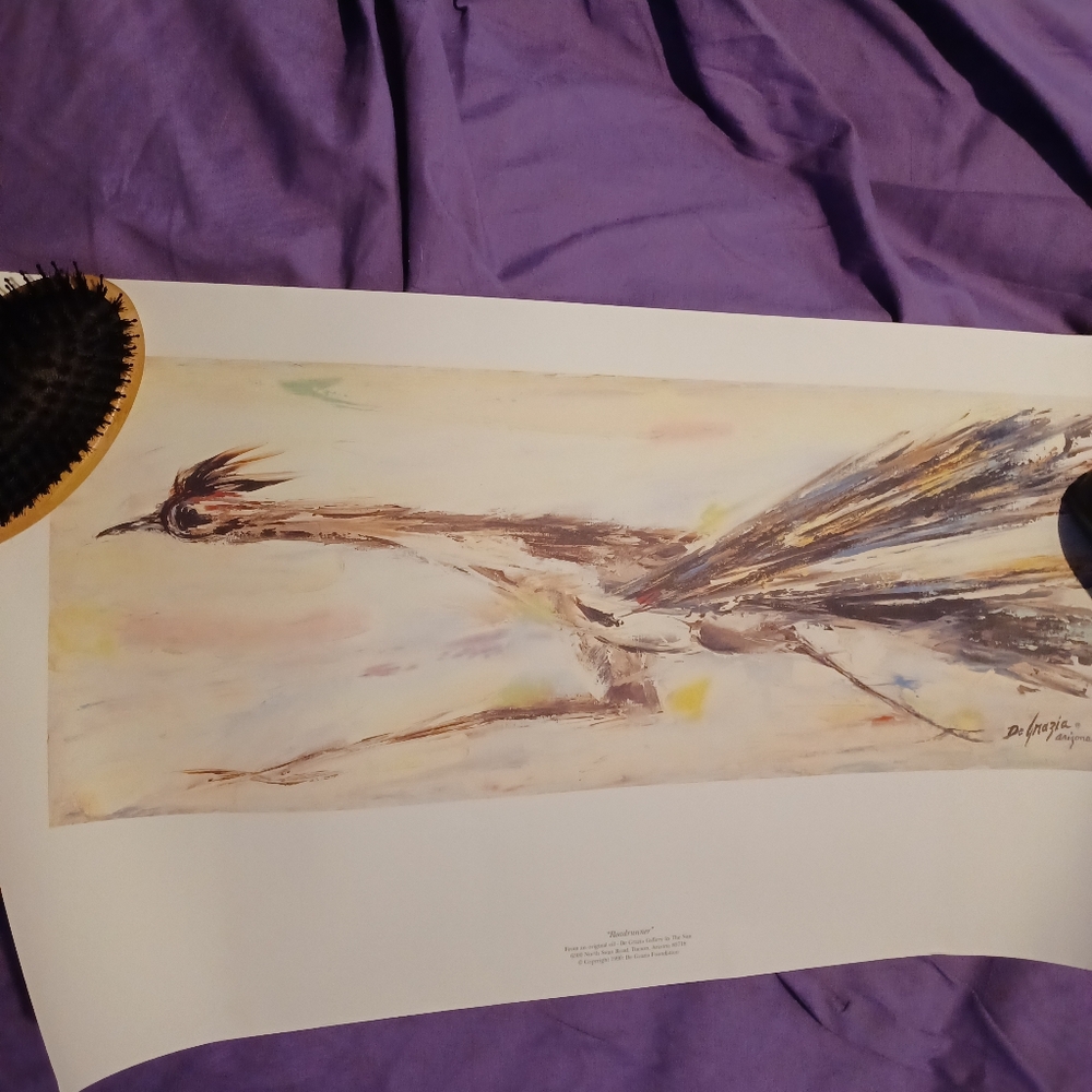 Roadrunner and Butterflies prints